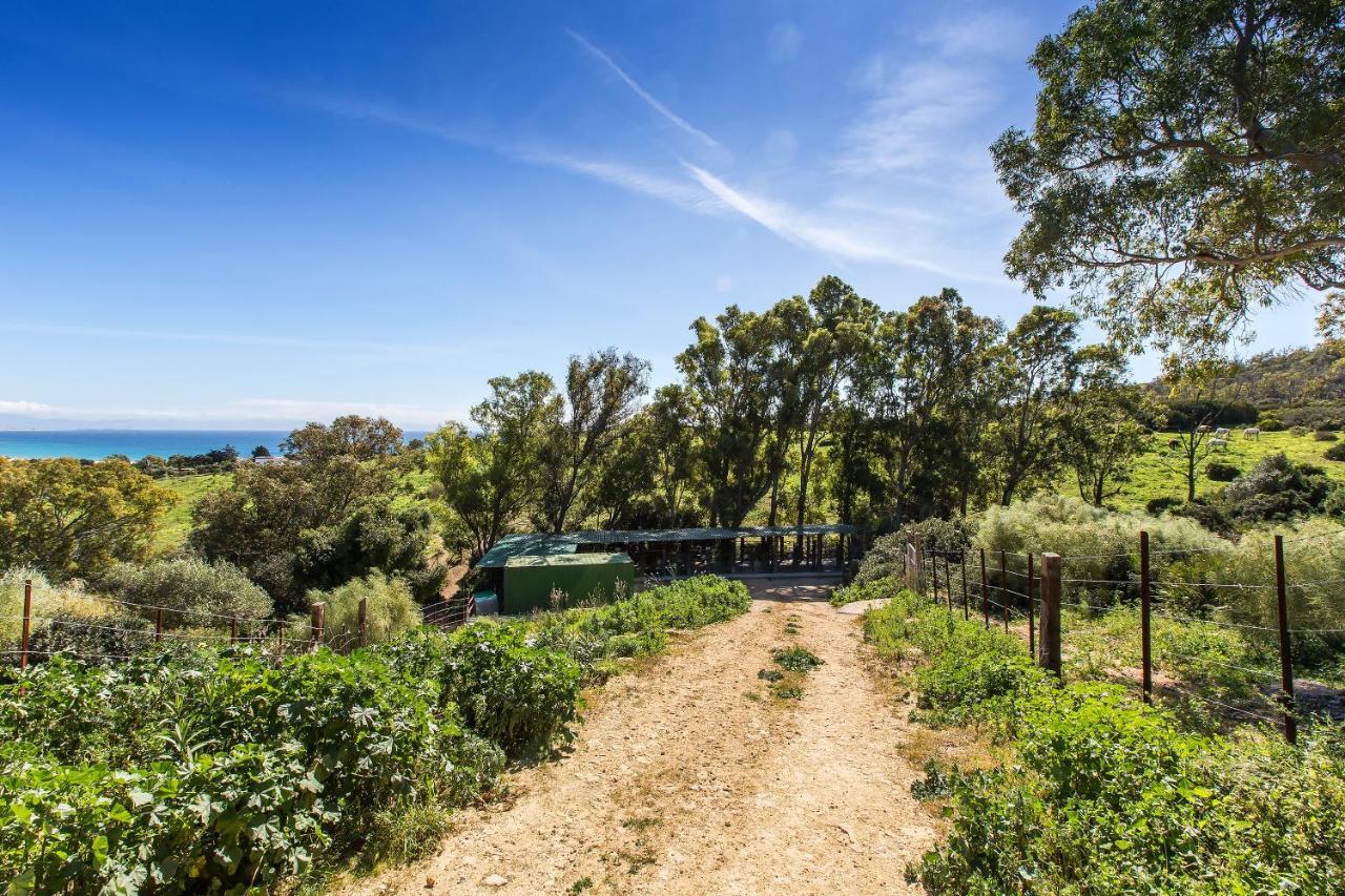 Apartament Casita Rural En Centro De Hipica Tarifa Zewnętrze zdjęcie