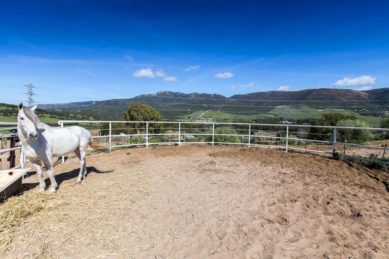 Apartament Casita Rural En Centro De Hipica Tarifa Zewnętrze zdjęcie